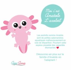 Pioupiou Et Merveilles - Aqu'Amis - Doudou Anatole L'Axolotl 20 Cm -Jouets En Peluche Boutique anatole