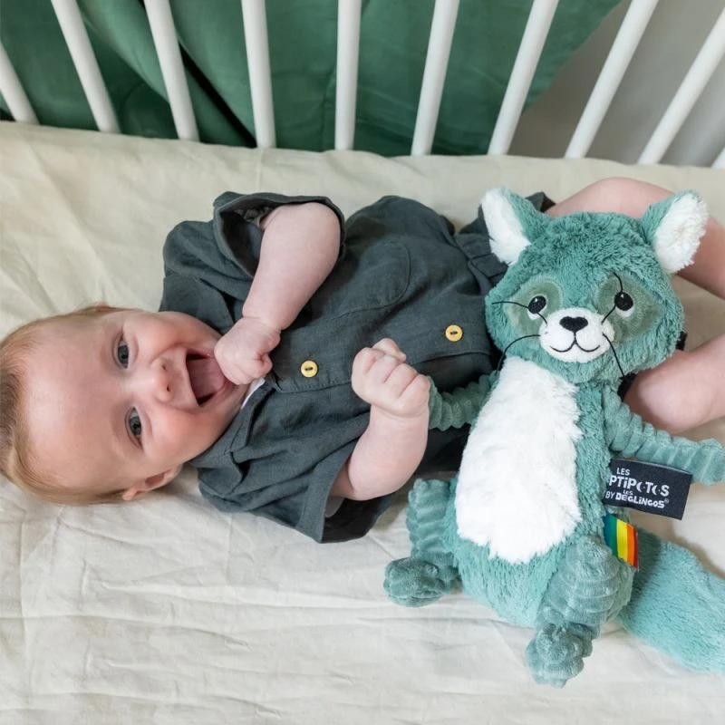 Les Déglingos - Les Ptipotos - Netoitou Le Raton Laveur Vert - Peluche 27 Cm 5 Les Déglingos - Les Ptipotos - Netoitou Le Raton Laveur Vert - Peluche 27 Cm – Image 5